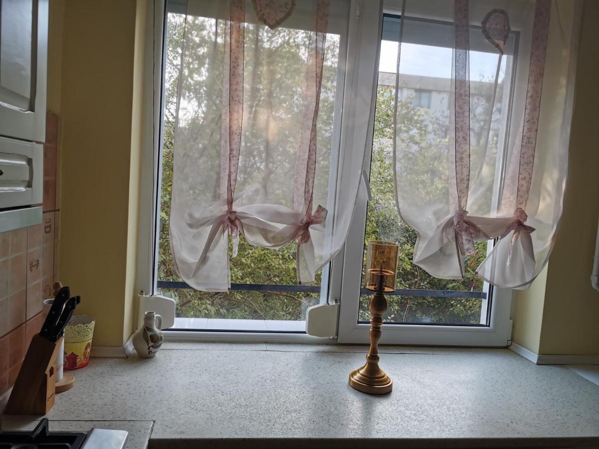 Apartament 2 camere zona Catedrala Braiła Zewnętrze zdjęcie